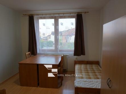 Pronájem bytu, 1+kk, 20 m²