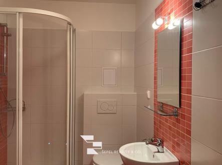 Pronájem bytu, 1+kk, 29 m²