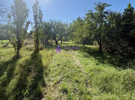 Pronájem pozemku, zahrada, 1 528 m²