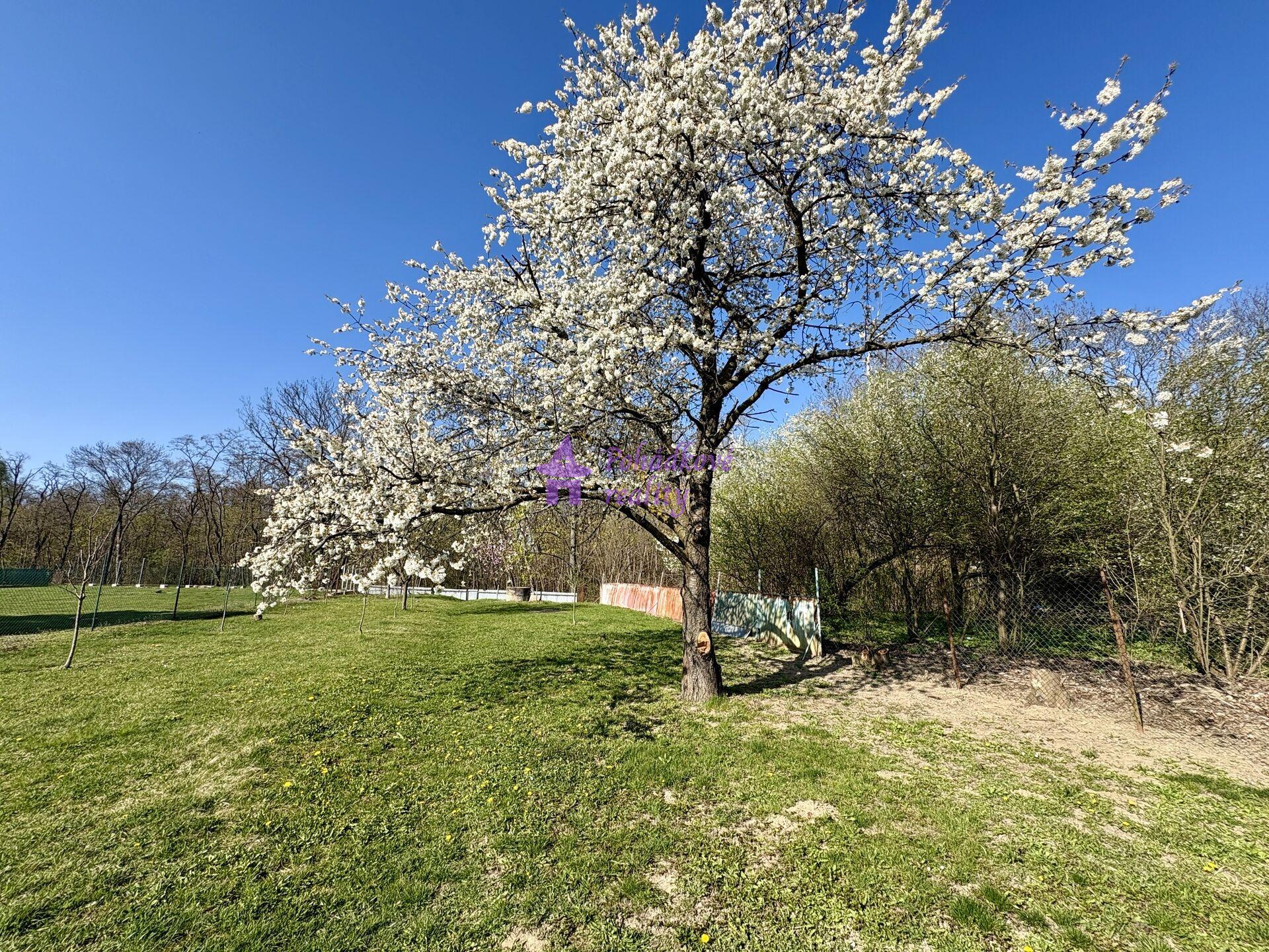 Pronájem zahrady, 1636 m² Olomouc