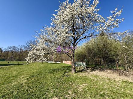 Pronájem pozemku, zahrada, 1 636 m²