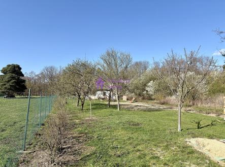 Pronájem pozemku, zahrada, 1 636 m²