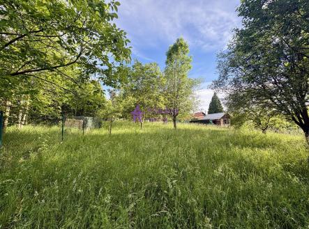 Pronájem pozemku, zahrada, 2 520 m²