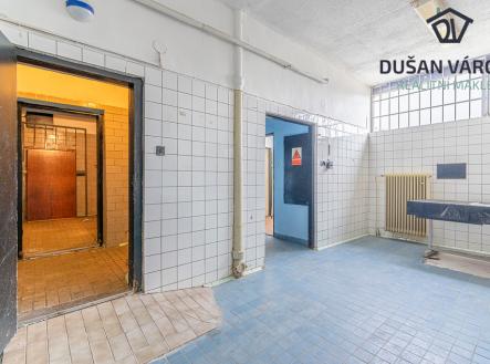 Pronájem - obchodní prostor, 66 m²