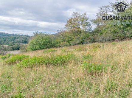 Prodej - pozemek, trvalý travní porost, 5 743 m²