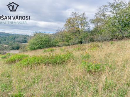 Prodej pozemku, trvalý travní porost, 5 743 m²