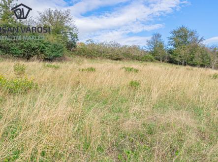 Prodej pozemku, trvalý travní porost, 5 743 m²