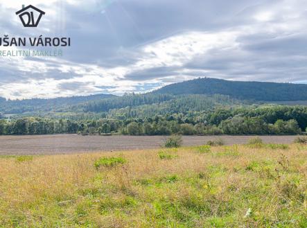 Prodej pozemku, trvalý travní porost, 5 743 m²