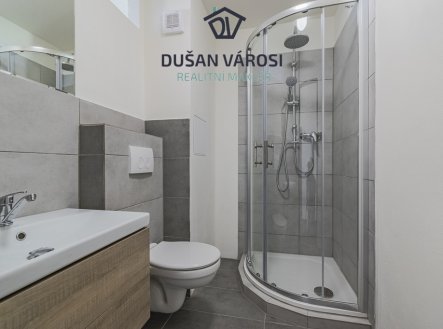 Pronájem bytu 1+KK, Budovatelů
