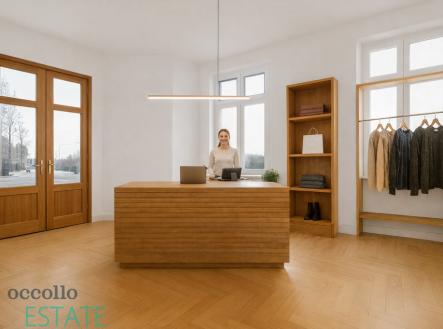 Prodej bytu, atypický, 228 m²