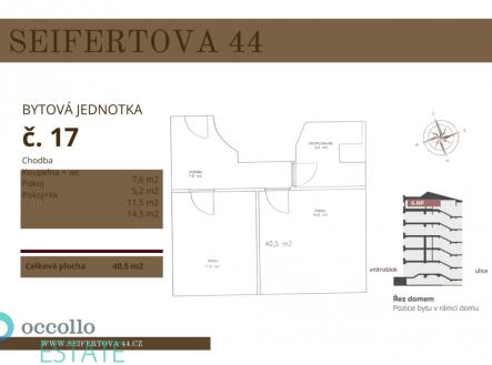 seifertova-bj.17.pdf.png