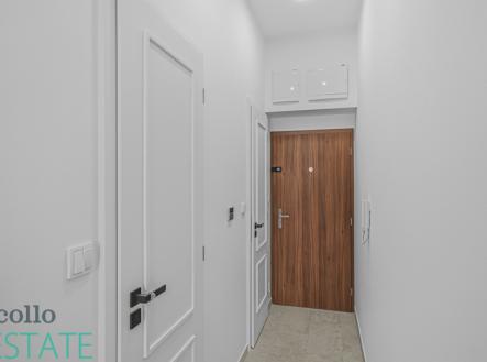 Pronájem bytu, 1+kk, 30 m²