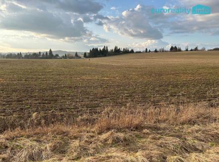 Prodej pozemku pro bydlení, 10 000 m²