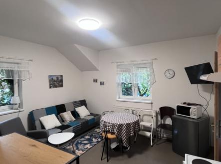 Pronájem bytu, 1+kk, 48 m²