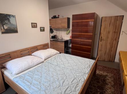 Pronájem bytu, 1+kk, 48 m²