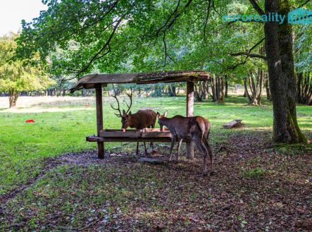 Prodej pozemku pro komerční výstavbu, 86 573 m²