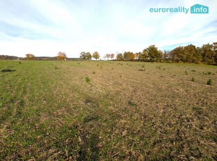 Prodej pozemku pro bydlení, 3 986 m²