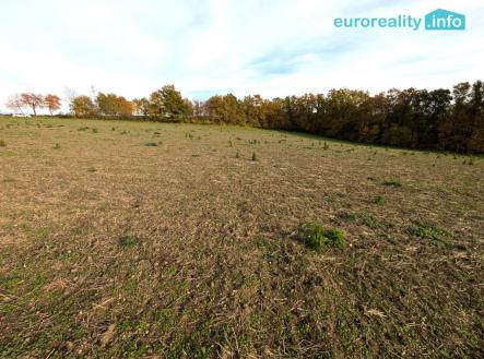 Prodej pozemku pro bydlení, 3 986 m²