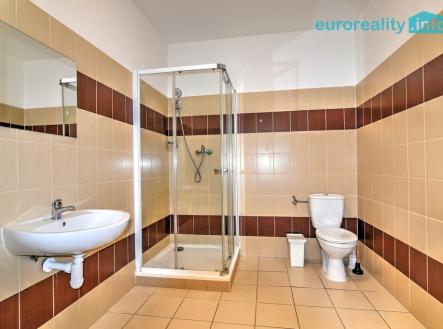 Pronájem bytu, 1+1, 49 m²