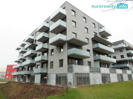 Pronájem bytu, 1+kk, 45 m²