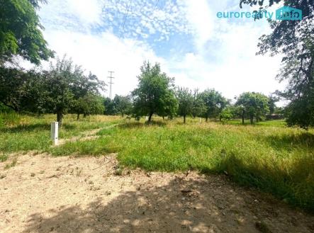 Prodej pozemku pro bydlení, 4 920 m²