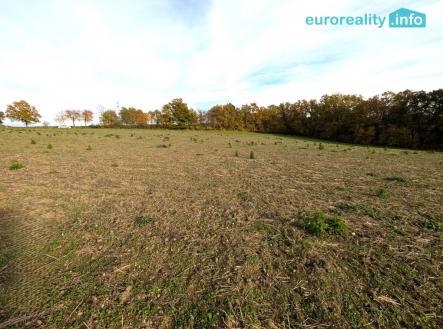 Prodej pozemku pro bydlení, 3 986 m²