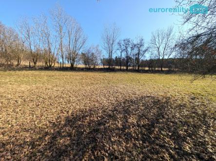 Prodej pozemku pro bydlení, 4 553 m²