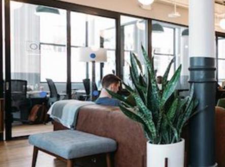 Pronájem kanceláře, 200 m²