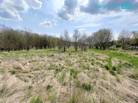 Prodej pozemku pro bydlení, 5 800 m²