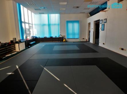 Pronájem obchodní prostory, 347 m²