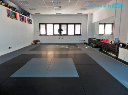 Pronájem obchodní prostory, 347 m²