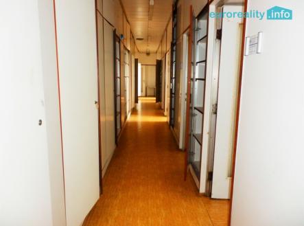 Pronájem obchodní prostory, 735 m²