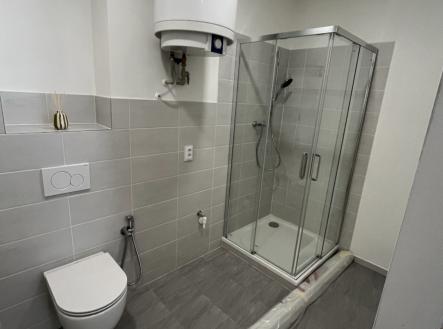 Prodej bytu, 2+kk, 46 m²