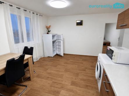 Pronájem bytu, 1+1, 46 m² obrázek
