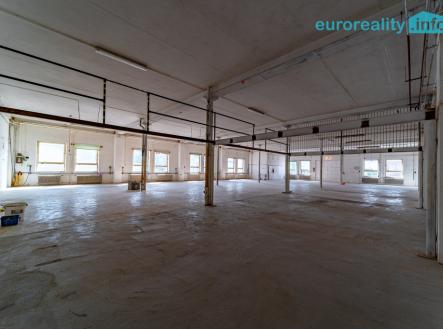 Pronájem skladu, 125 m²