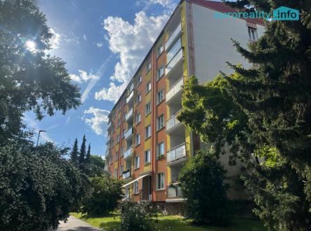 Prodej bytu, 1+kk, 21 m² obrázek