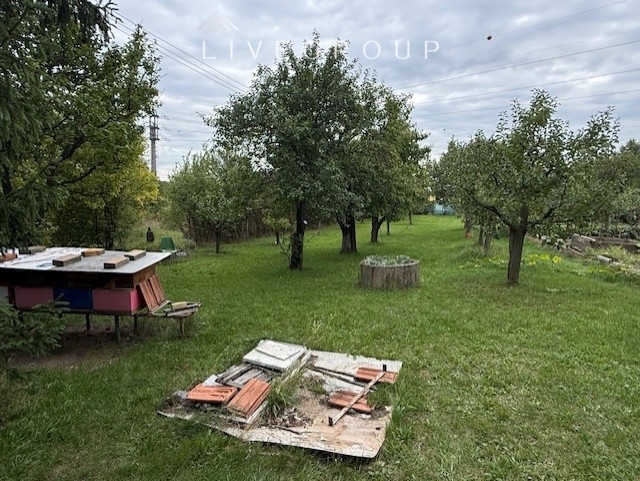 thumbnail-img-6330.jpg