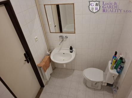 Pronájem bytu, 1+1, 33 m²