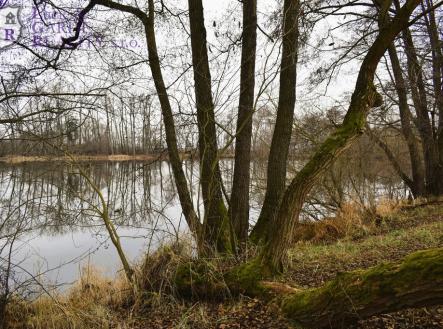 Prodej pozemku, ostatní, 26 509 m²