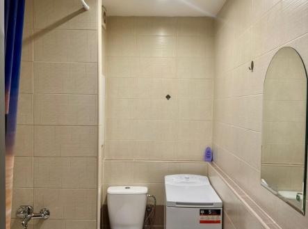 Pronájem bytu, 1+kk, 27 m²