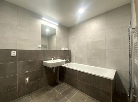 Pronájem bytu, 1+kk, 52 m²