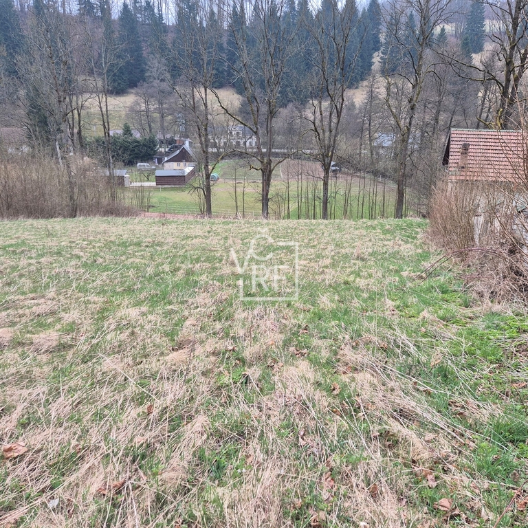 1000043806.jpg