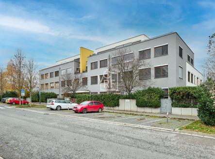 Prodej bytu, 4+kk, 215 m²