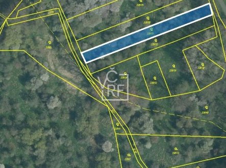 Prodej ovocného sadu o výměře 1146 m2 v Brozánkách