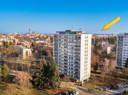 baarova-100-copy.jpg