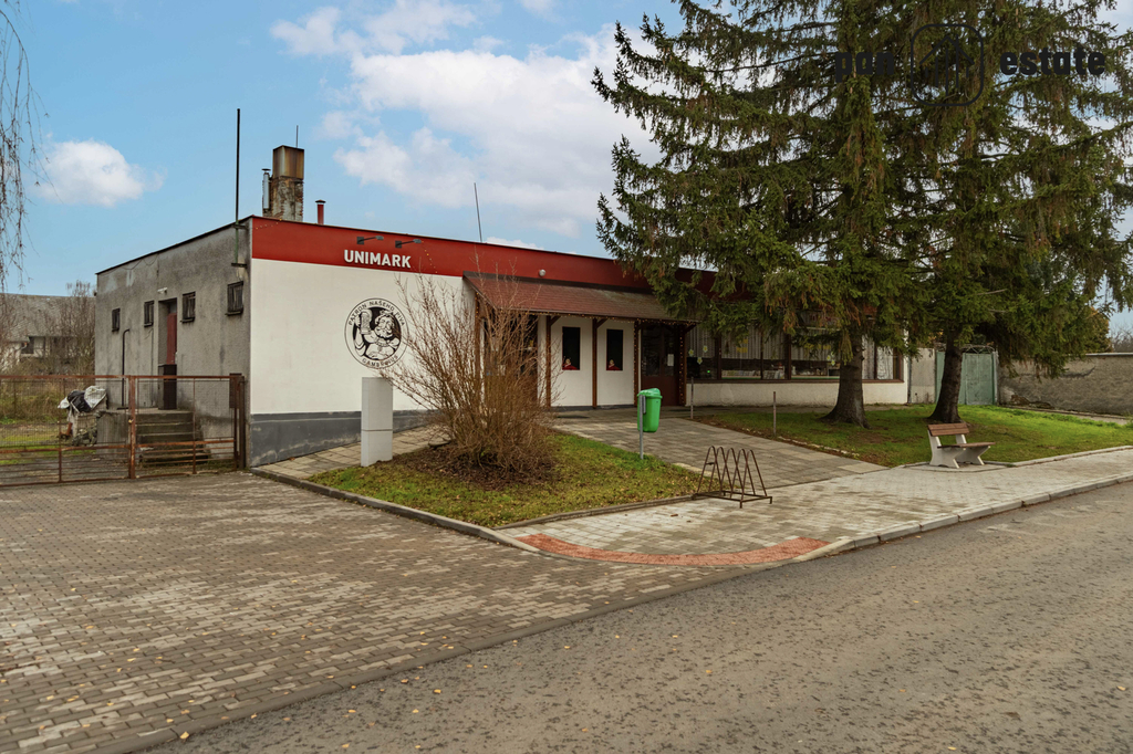 29e.jpg
