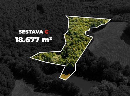 Nemovitost