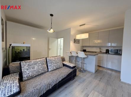 Pronájem bytu, 2+kk, 738 m²