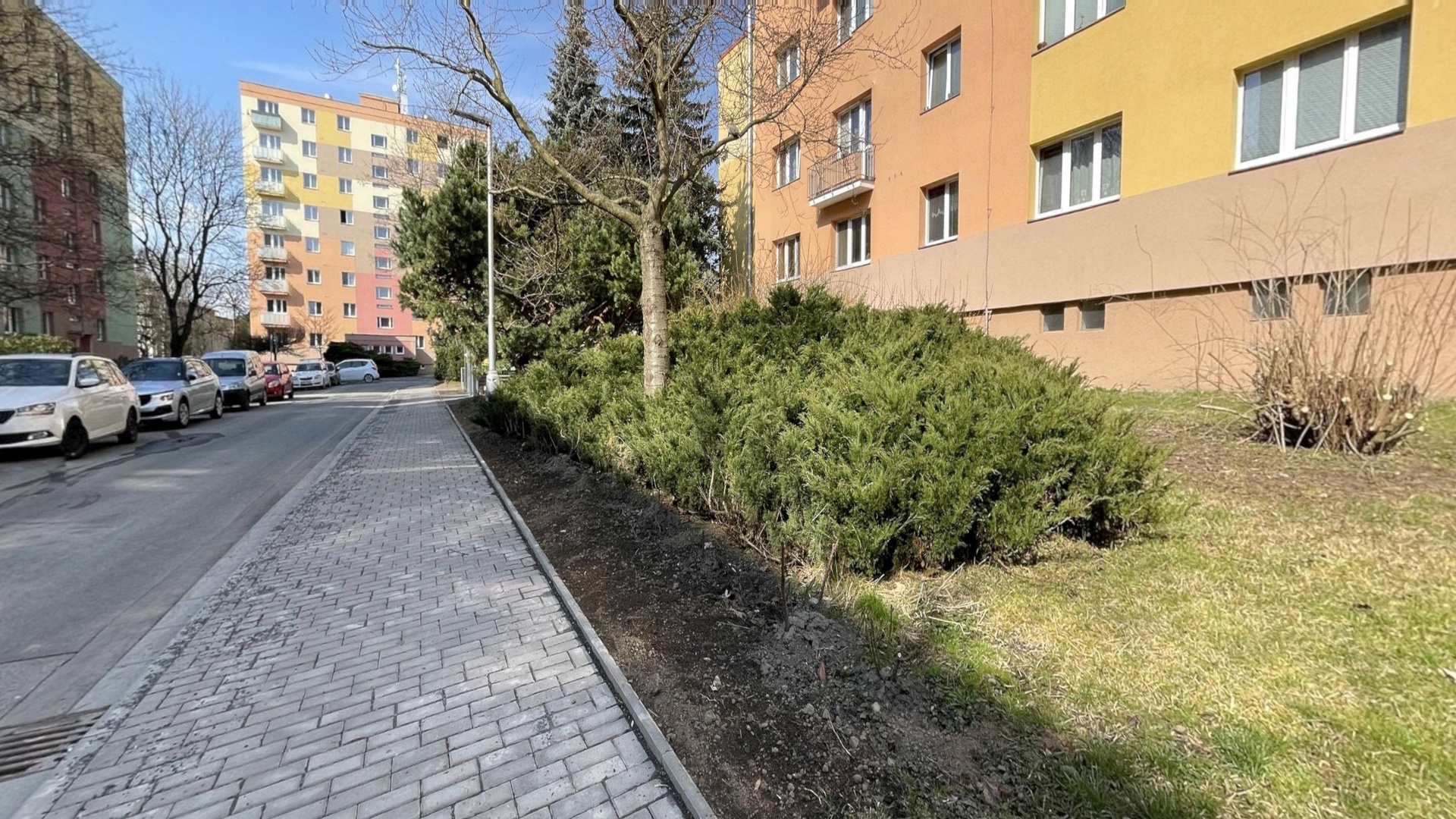 16326-Bohuslava-Martinu-03242026_085352