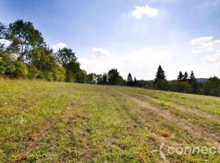 Prodej pozemku, trvalý travní porost, 14 836 m²